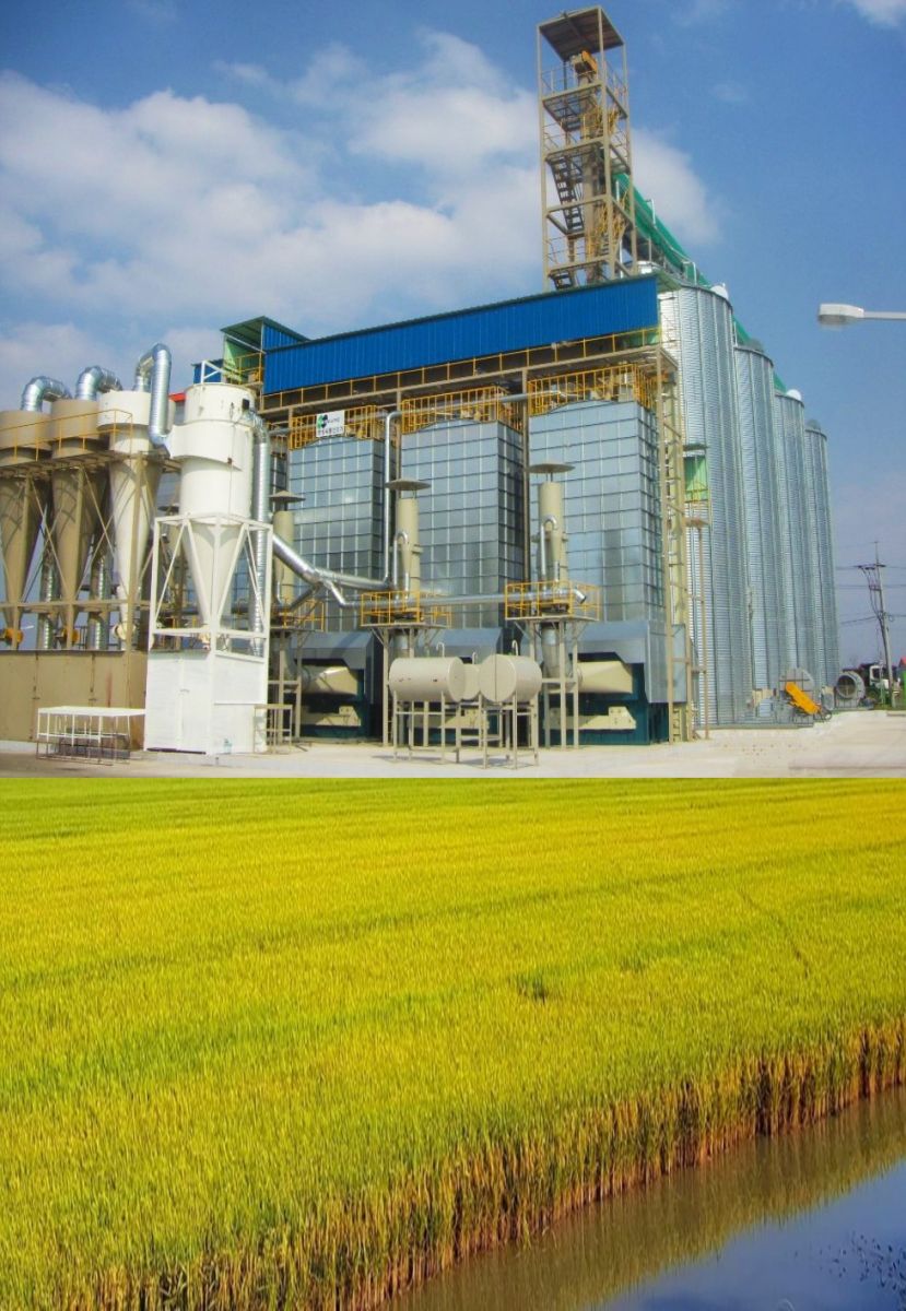 Dây Chuyền Sấy Lúa 400 Tấn/ngày - Vĩnh Hoàn Đồng Tháp